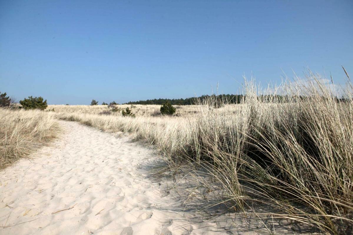 Ferienwohnung La Tulipe Egmond aan den Hoef Exterior foto