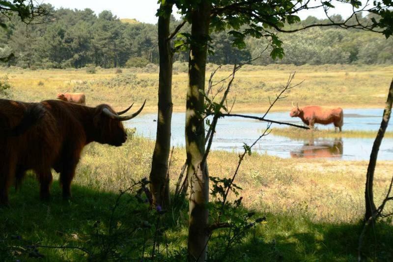 Ferienwohnung La Tulipe Egmond aan den Hoef Exterior foto